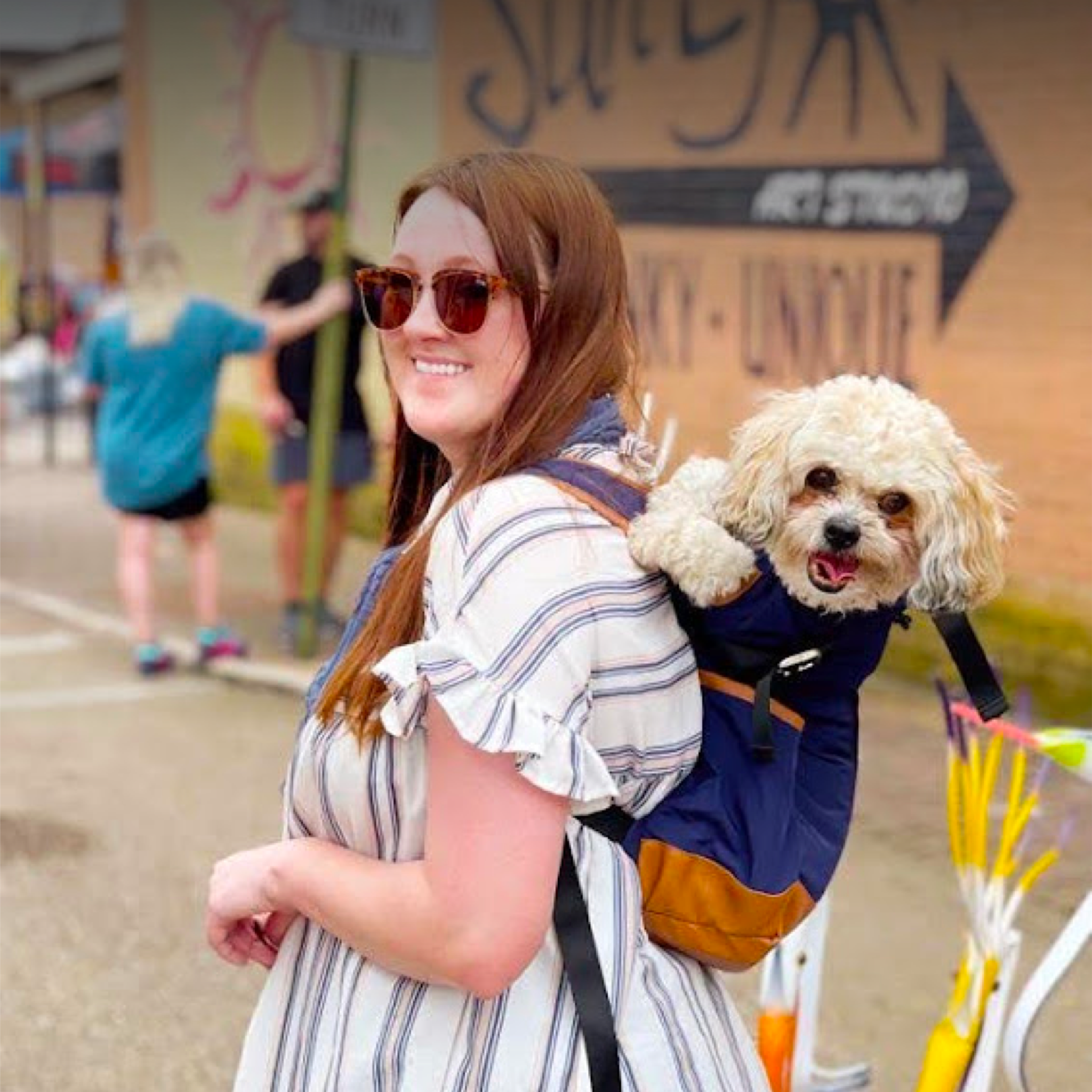 Teddy the pup rides on his dog mom's back through the flea market