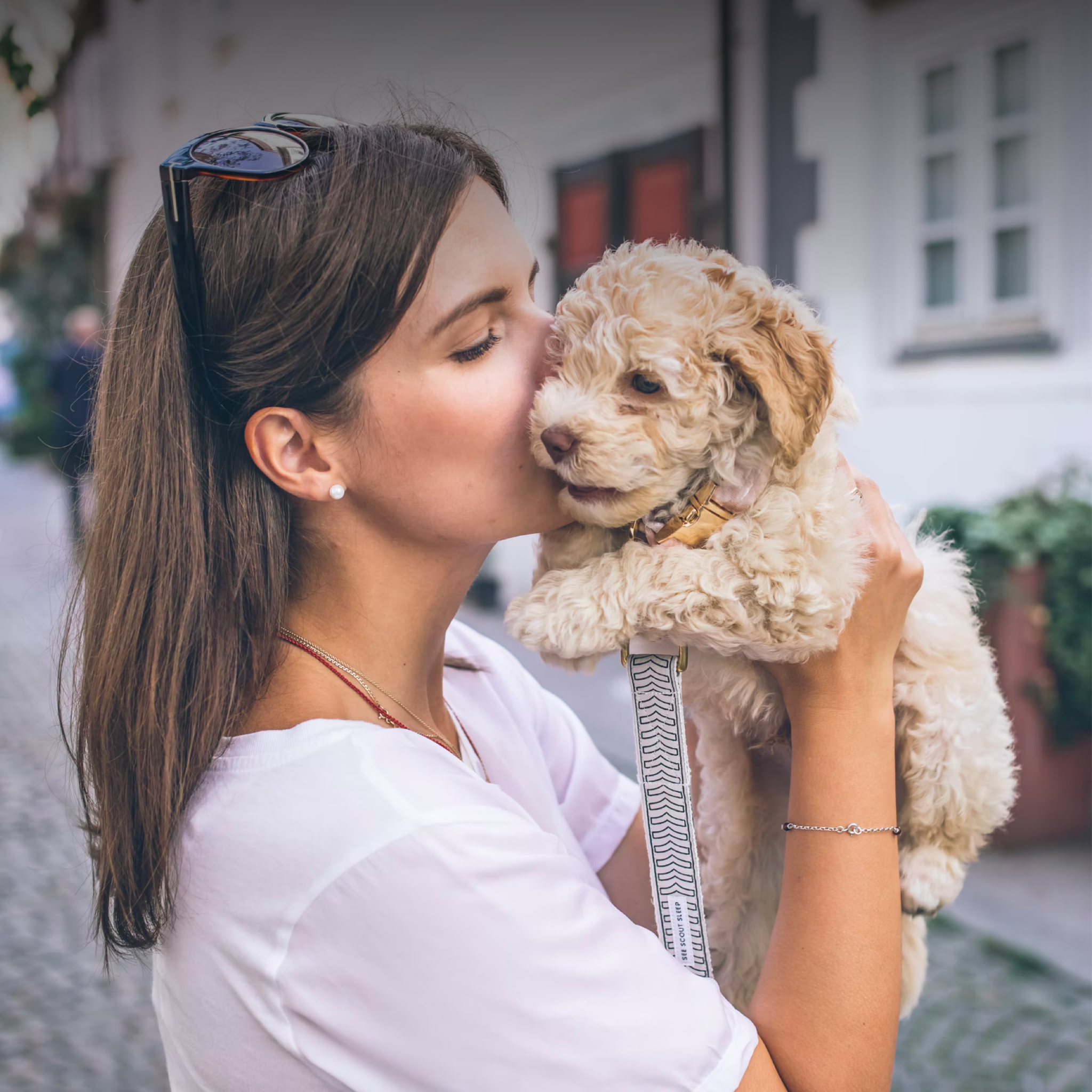 Building Engagement with your Dog