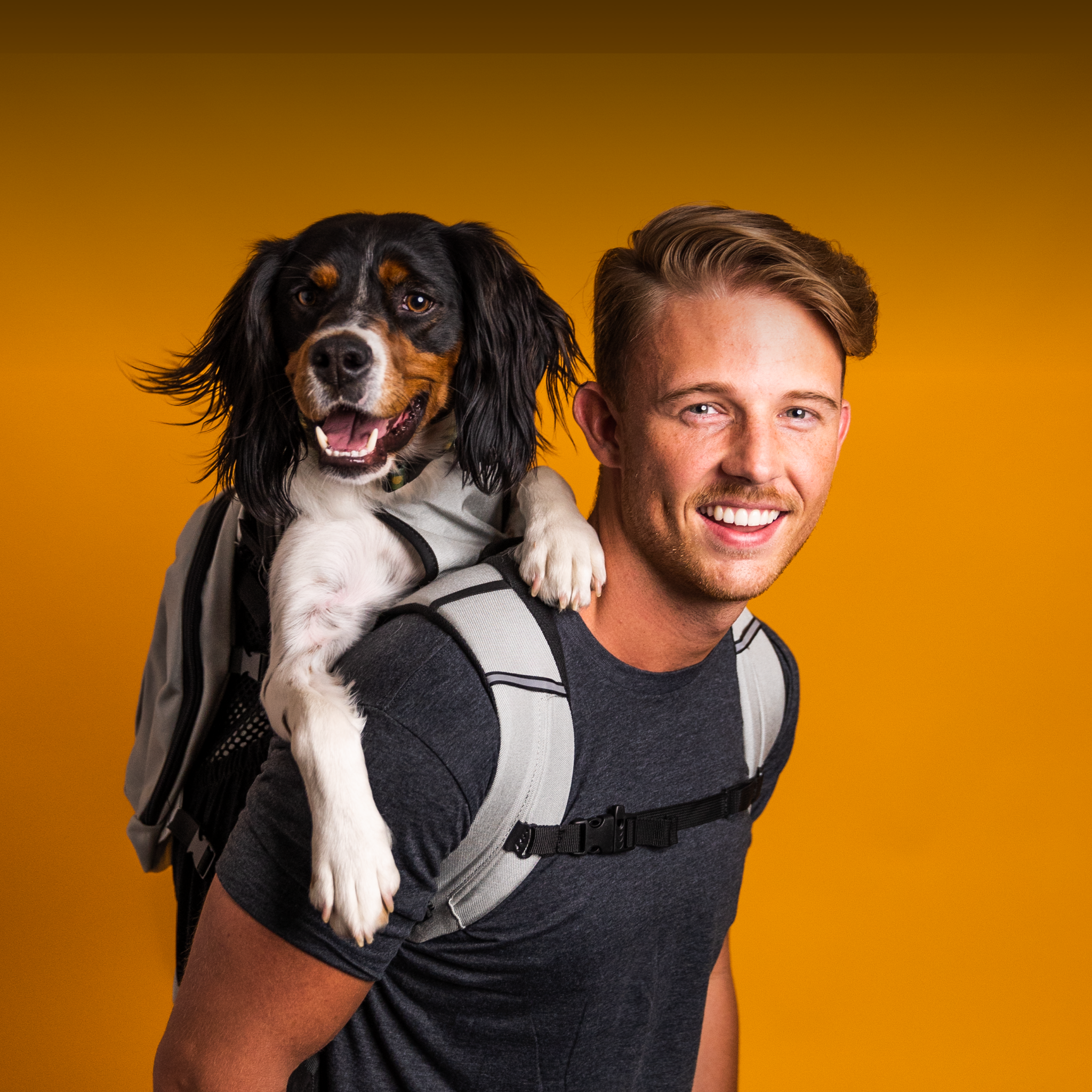 A young man with a brittany spaniel on his back in a K9 Sport Sack Plus 2 backpack carrier