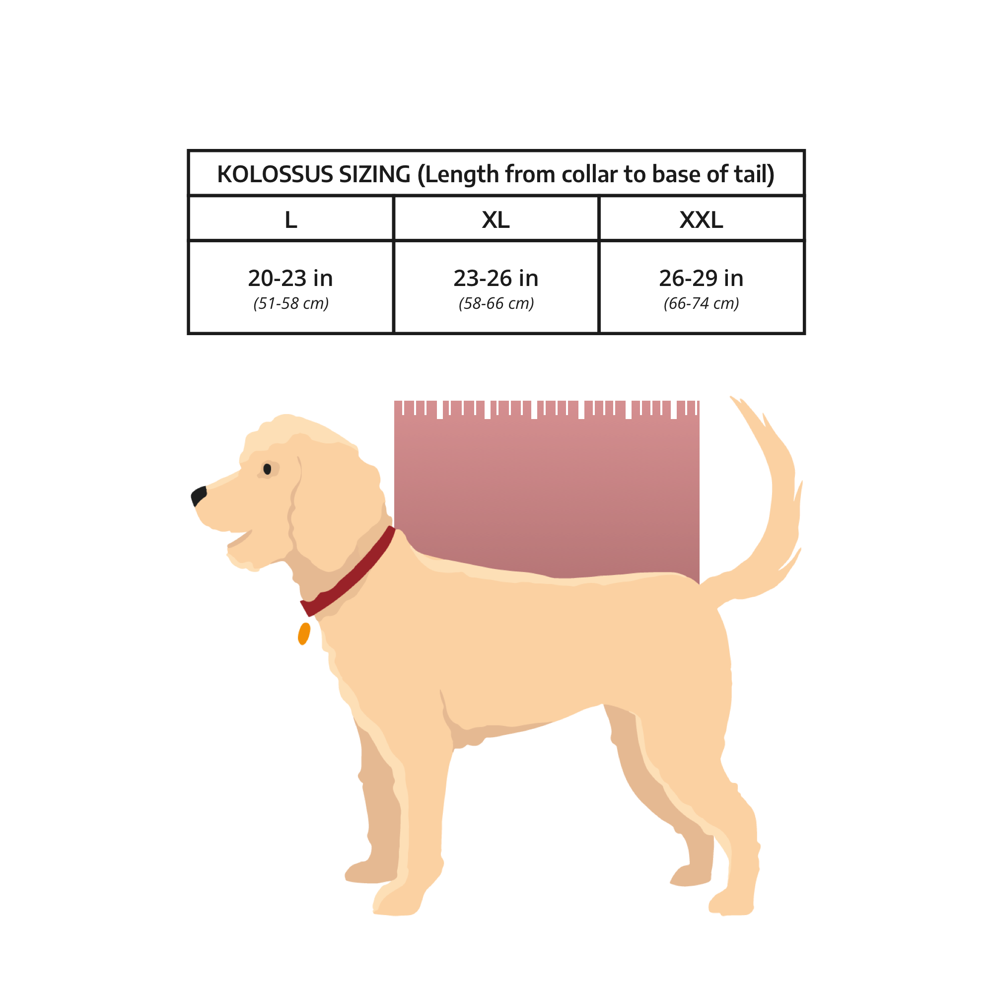 Colosse | Grand sac de transport pour chien et sac à dos